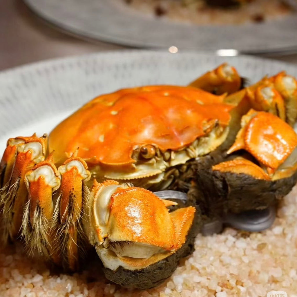 Shanghai · Suzhou · Shaoxing · Hong Kong - 7 Days · 6 Nights