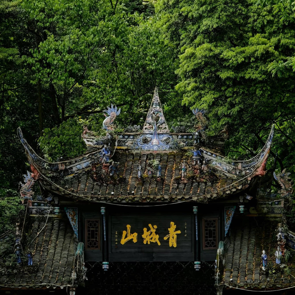 Chongqing & Chengdu — 7 Days · 6 Nights