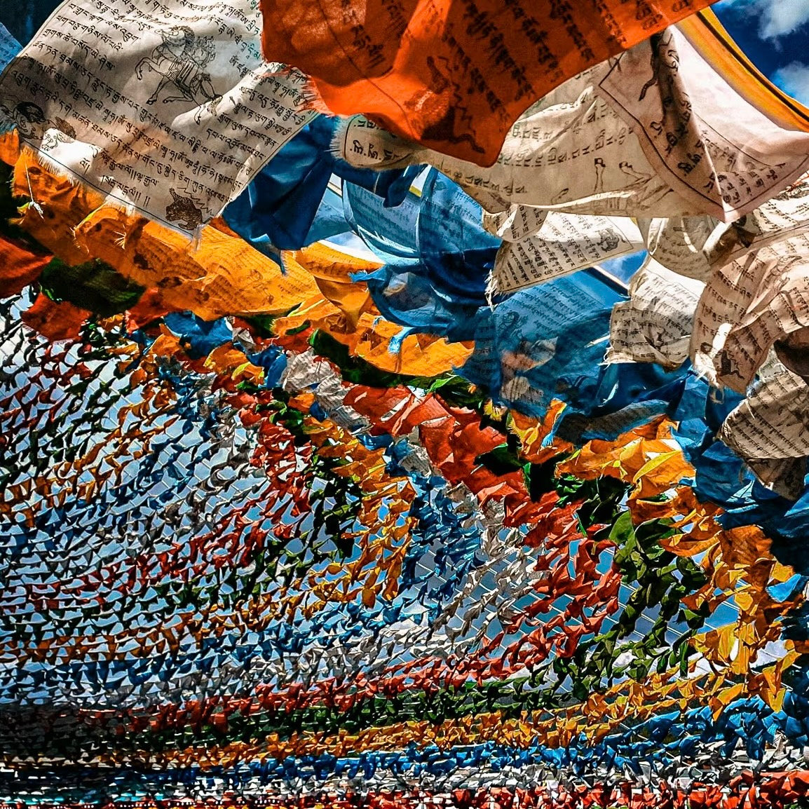 Shangri-La: The Lost Horizon (Yunnan Loop | 10 Days 9 Nights)