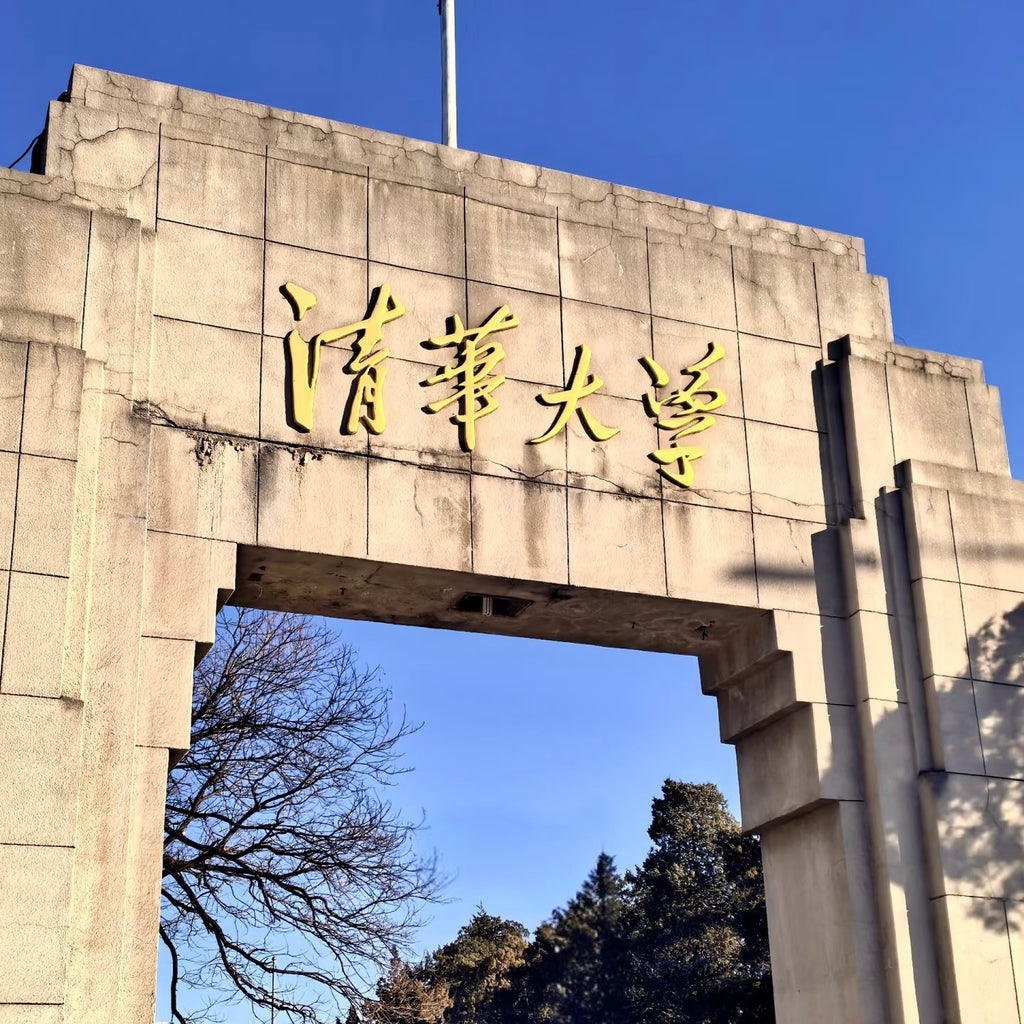 Future Leaders: Tech & Ivy League (Shenzhen - Beijing | 8 Days 7 Nights)