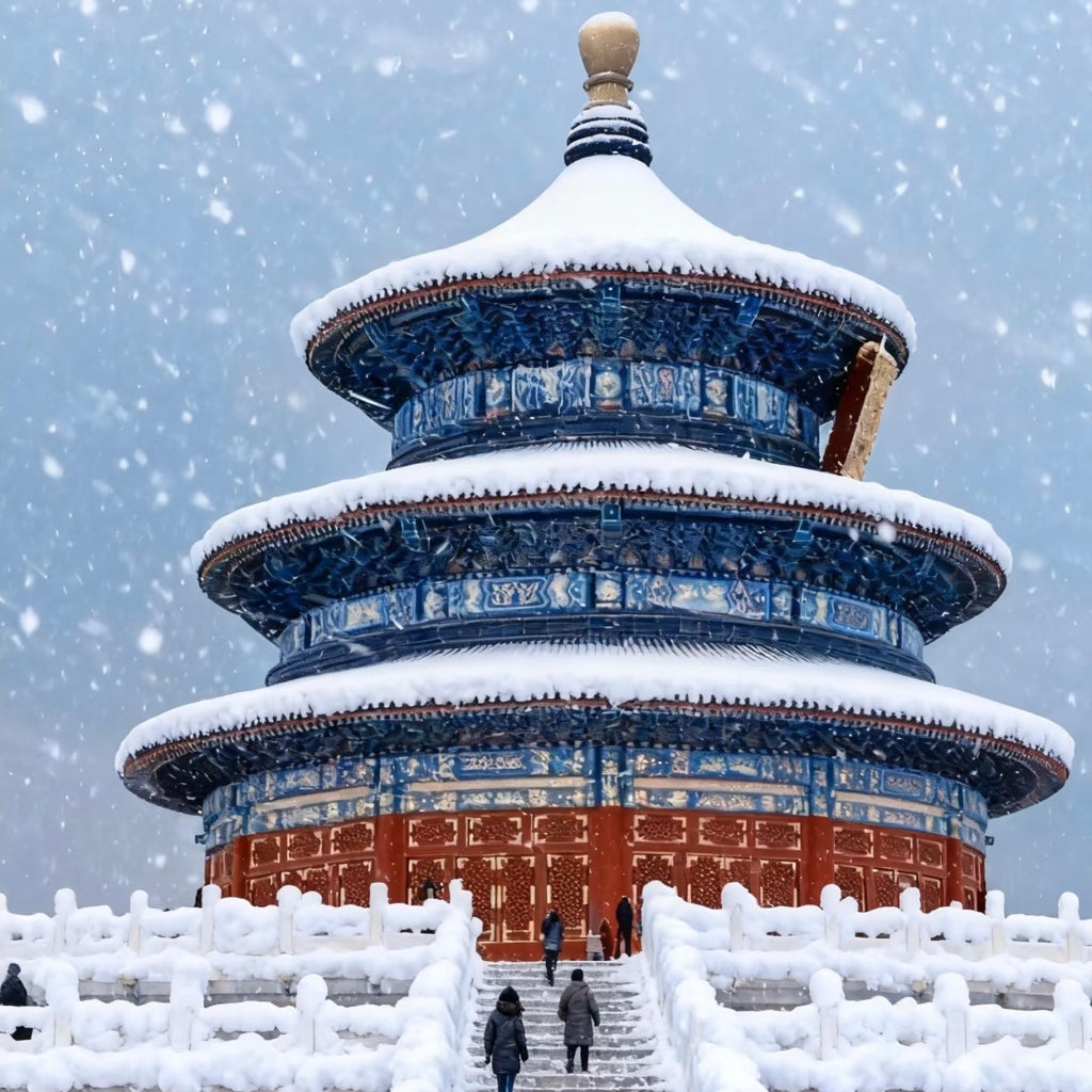 Future Leaders: Tech & Ivy League (Shenzhen - Beijing | 8 Days 7 Nights)